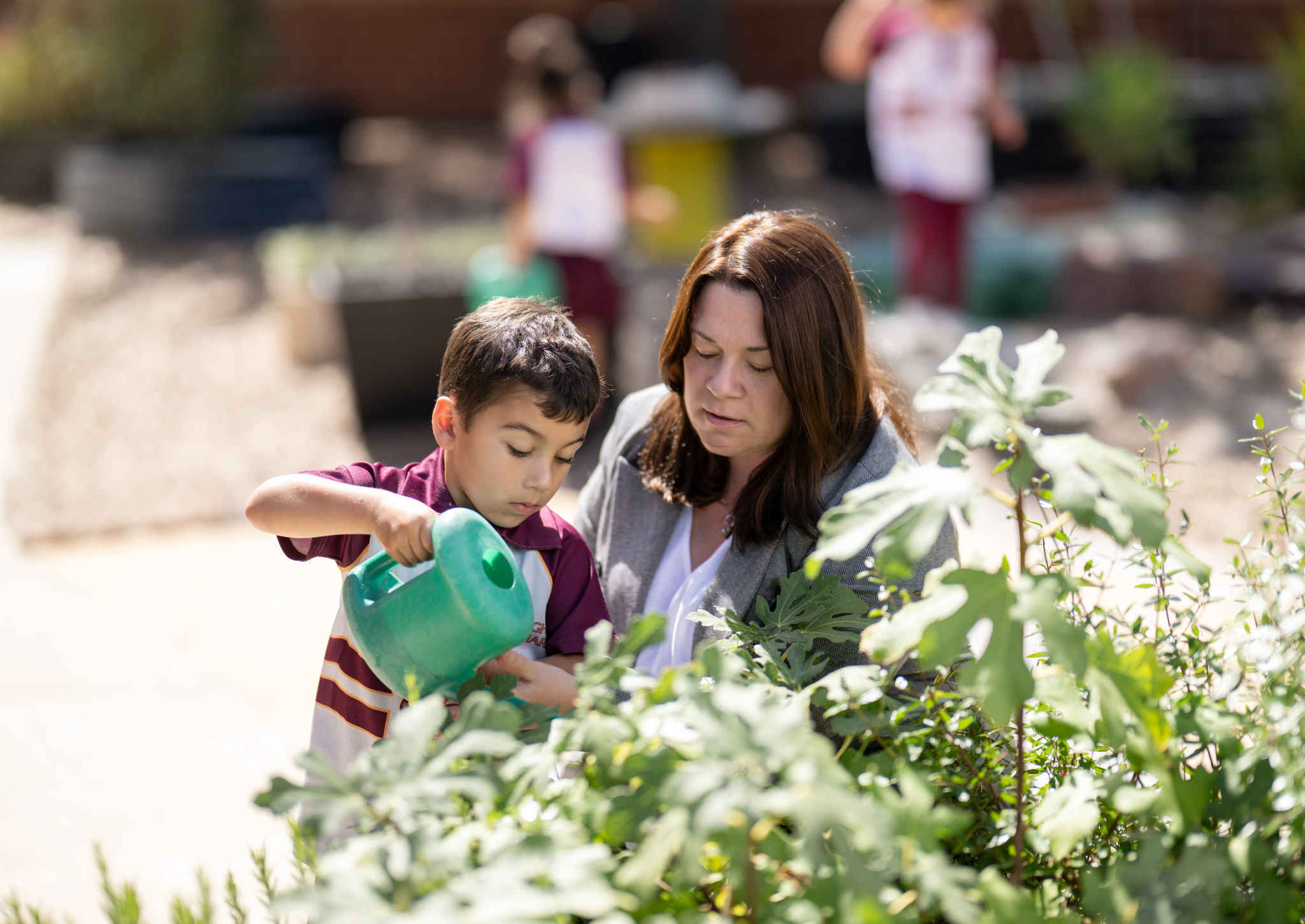 250303 G Blue Z9 7033 Lge